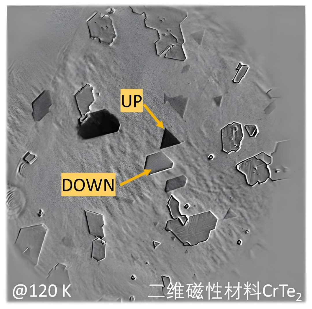 二維磁性材料的自旋特性